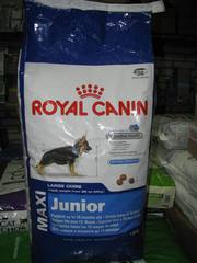 Макси Юниор Maxi Junior Роял Канин Royal Canin  корм для щенков 