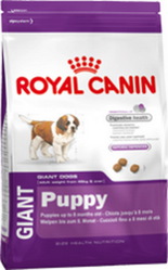Роял Канин Гигант Паппи корм для щенят крупных Giant Puppy Royal Canin 