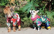 Одежда для собак Индивидуальный пошив